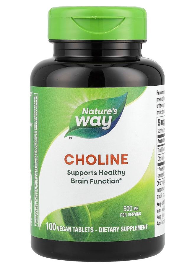Nature's Choline 500 mg 100 Vegan Tablets 