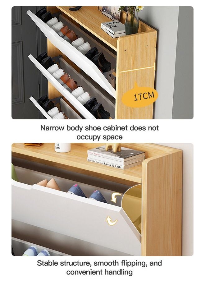 Sharpdo - Shoe Cabinet Simple Modern Large Capacity Tipper Shoe storage rack - Image 1