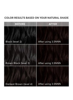 Madison Reed Radiant Hair Color Kit, Darkest Brown for 100% Gray Coverage of Resistant Gray Hair, Ammonia-Free, 3.5NNN Ravenna Brown, Permanent Hair Dye, Pack of 1  - Image 4