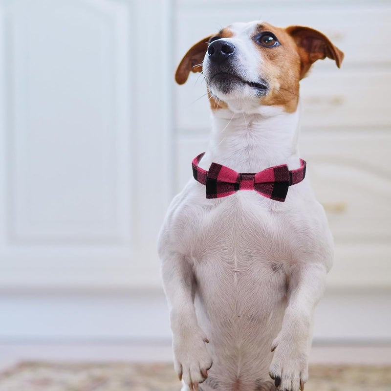 SHOWERORO Bow Decorative Dog Collar with Removable Bowtie, Pink and Black Small Size 2.5x50cm, Pet Charming Puppy Collar for Daily Wear and Festive Occasions - Image 4