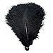 KOLIGHT 40pcs 12143035cm Natural Ostrich Feathers for DIY Home Wedding Party Office Decoration Black - Image 3