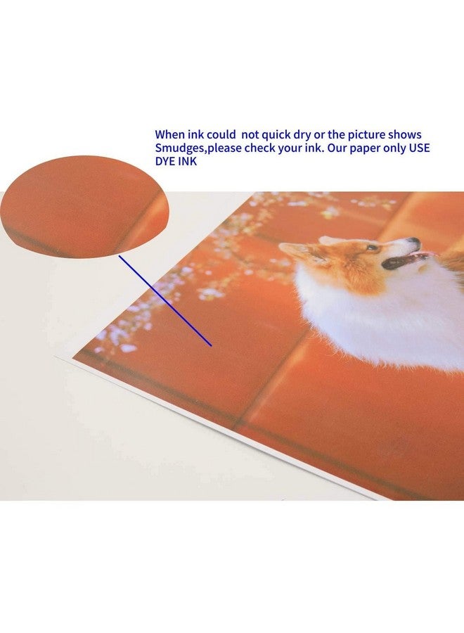 كولا بيبر ورق صور ثقيل الوزن من كوالا عالي اللمعان مقاس 8.5 × 11 بوصة للطباعة النافثة للحبر، 100 ورقة، 61 رطلاً - Image 2