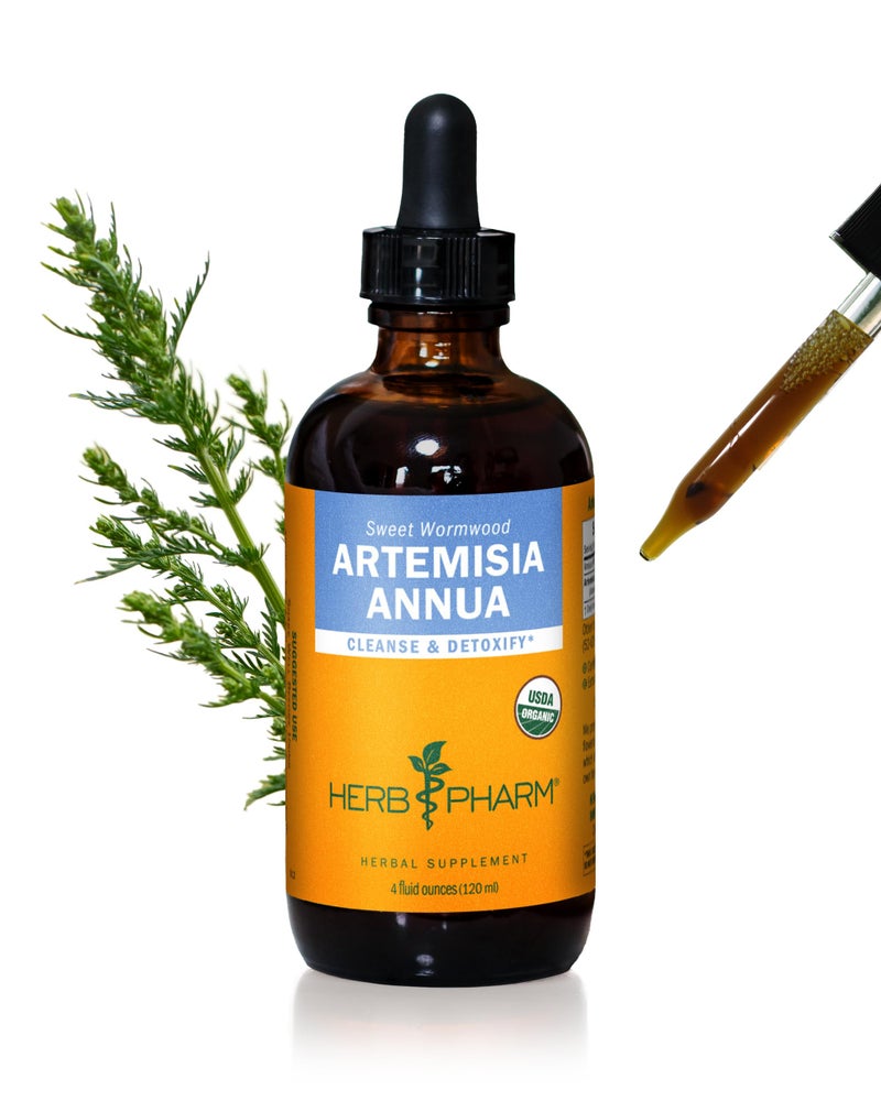 Herb Pharm Certified Organic Artemisia Annua Sweet Annie Liquid Extract 4 Ounce