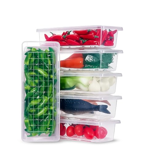 Shynora 6-Pcs Fridge Storage Space Organizer Boxes with Removable Drain Plate Fridge Storage Containers Keeps Fresh Vegetables, Fruits, Meat & Fish For Longer Time 1500ML (Pack of 6, Large) - Image 1
