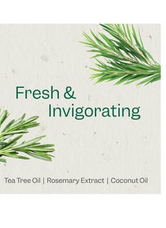 Renpure Renpure Tea Tree & Rosemary Shampoo & Conditioner Set, Plant Based - Refreshes & Rebalances Hair and Scalp - For Oily/Normal Hair - Tea Tree Leaf Oil, Rosemary Leaf Extract - 24 Fl Oz each, 2 Pack  - Image 3