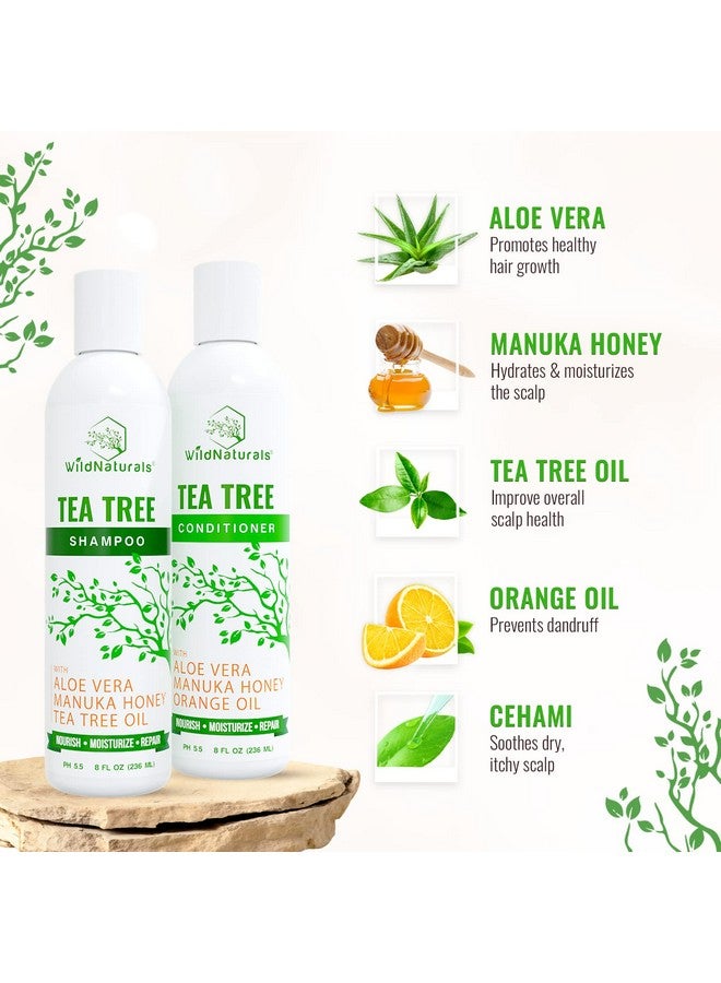 وايلد ناتشورلز مجموعة شامبو وبلسم زيت شجرة الشاي - علاج فروة الرأس الجافة لتخفيف الحكة - تركيبات مضادة للقشرة ومكثفة للرجال والنساء، لجميع أنواع الشعر - Image 2