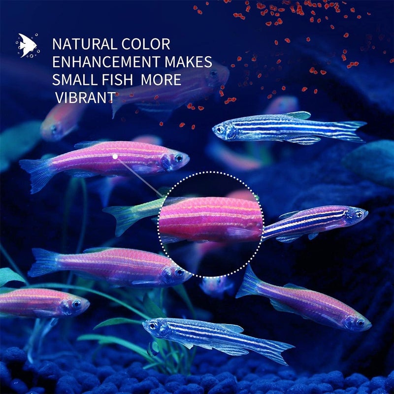 VAYINATO طعام سمك البيتا بيفيناتو® عبوة من 3 * 20 جرام (خاص لجميع أسماك البيتا) | سبيرولينا لتعزيز اللون | كريات دقيقة - نوع عائم | صنع في تايلاند بواسطة بيتزلايف وورلد، لجميع مراحل الحياة - Image 3