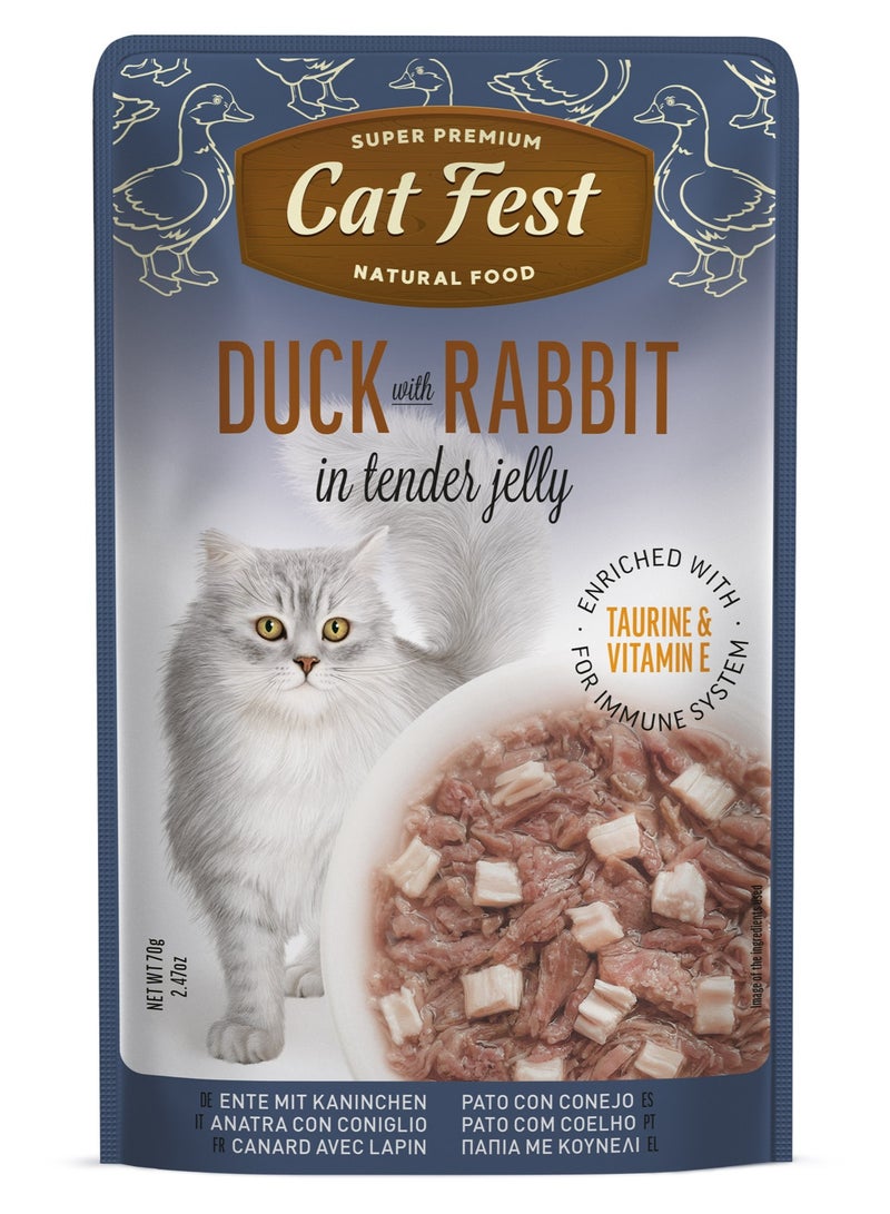 Cat Fest CatFest Duck with Rabbit in Tender Jelly, Gourmet Wet Cat Food, High Protein, Grain-Free, Soft Texture, 70g Pouch  - Image 1