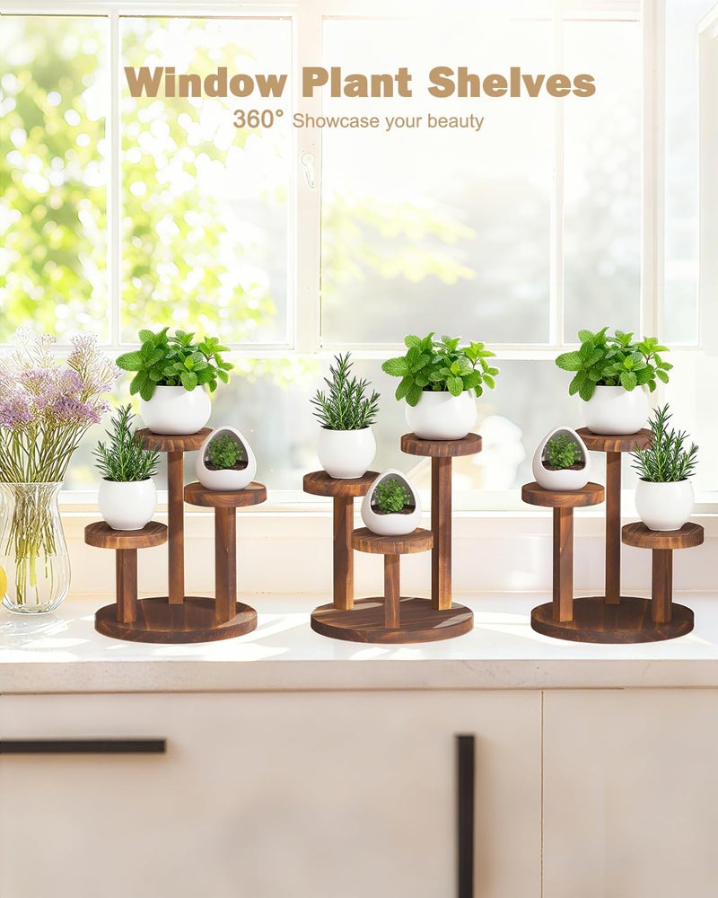 OcBuct 3 Tier Table Top Plant Stand Wooden Round,Small Window Sill Plant Shelf Indoor,Mini Desk Flower Succulent Stand Holder Rack,Little Display Stand for Desktop,Windowsill,Countertop,Kitchen,Oil Painting - Image 3