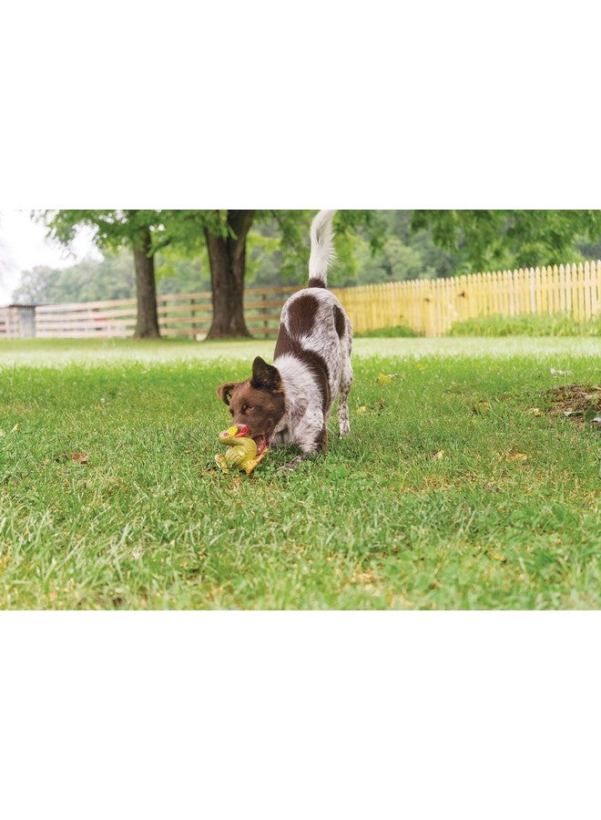 بيت سيف لعبة PetSafe Busy Buddy Squeeze Meeze - لعبة ممتعة للكلاب من اللاتكس مزودة بصافرة - للمضغ الخفيف - ديك رومي - Image 4