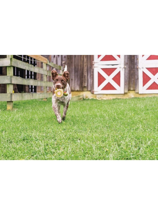 بيت سيف لعبة PetSafe Busy Buddy Squeeze Meeze - لعبة ممتعة للكلاب من اللاتكس مزودة بصافرة - للمضغ الخفيف - ديك رومي - Image 5