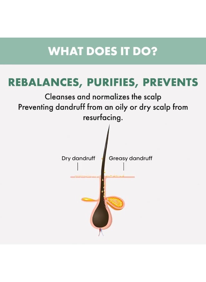 Alfaparf Milano Semi di Lino Scalp Rebalance Purifying Low Shampoo 250 ml - Image 2