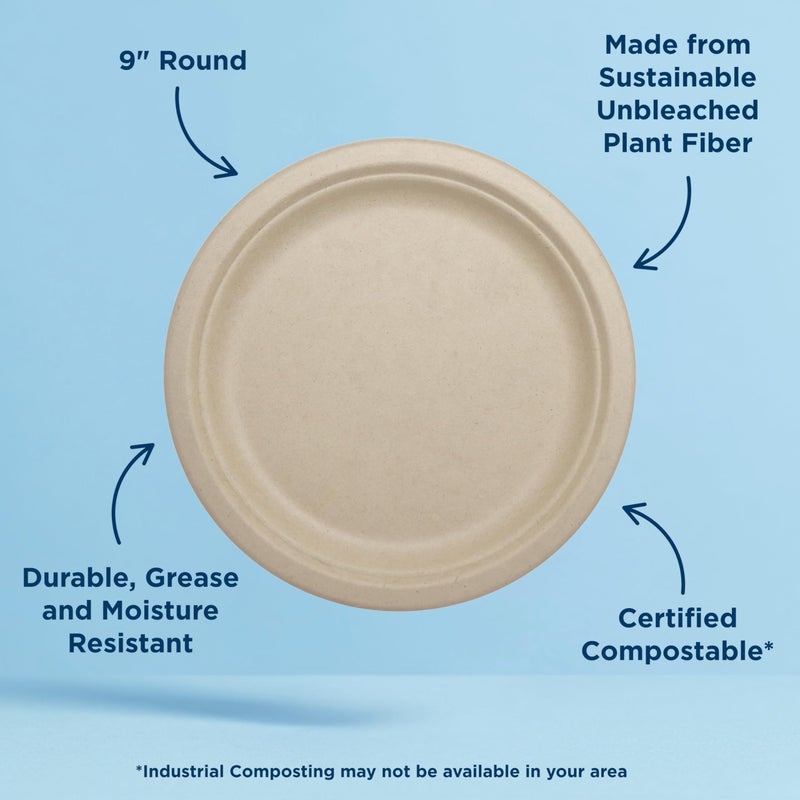 World Centric Compostable Round Paper Plates, 9" (Pack of 20), Made from Unbleached Plant Fiber, Sustainable, Heavy Duty, Grease Resistant, Microwave & Freezer Safe, PFAS Free - Image 2