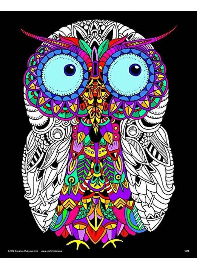Stuff2Color Baby Owl Fuzzy Velvet Detailed Coloring Poster For Kids And Adults (Arrives Uncolored) - Image 1