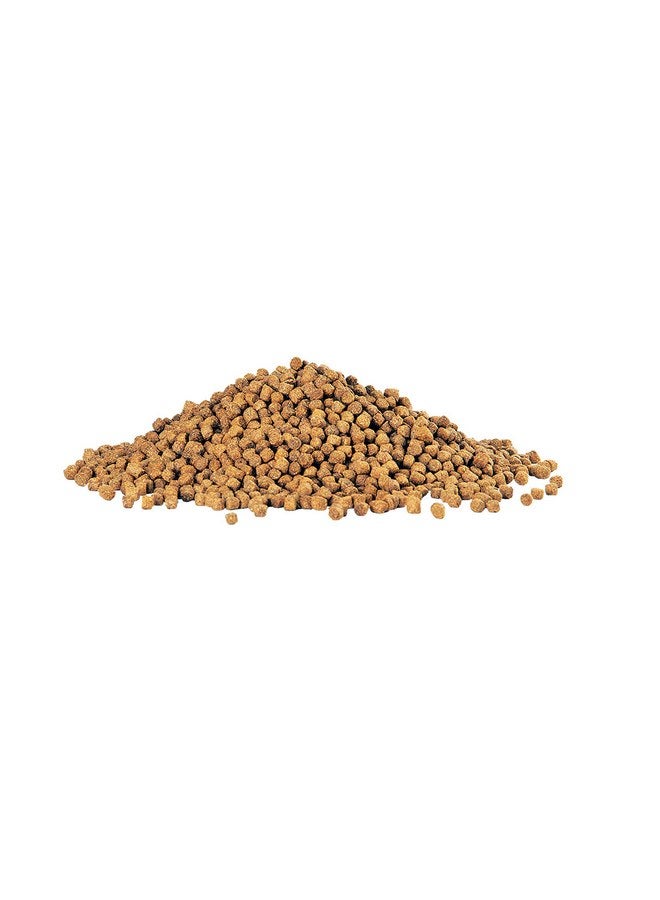 Aqueon Cichlid Slow Sinking Fish Food Pellets, Medium Size, 25 Ounce - Image 2