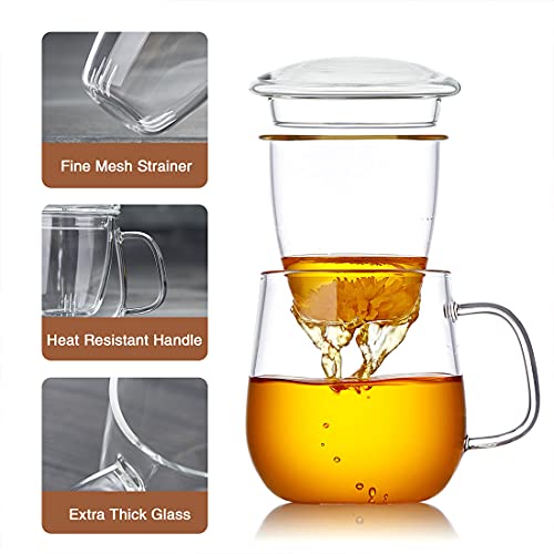 DOPUDO Glass Tea Cup with Infuser and Lid, 17.6oz/520ml Large Borosilicate Teacup,Tea Glass, Clear Mug for Loose Leaf Tea, Blooming Tea, Microwave & Dishwasher Safe - Tea Maker Gift for Birthday - Image 3
