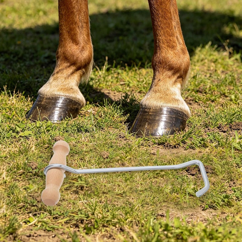 Hoof Cleaning Curved Hook: Hoof Metal Curved Cleaning Hook, Hand-Held Wooden Handle Horse Care Accessory for Farriers and Stables - Image 4