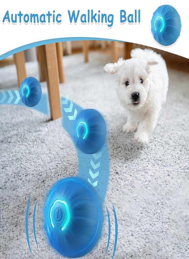 TecoKart® 4.5cm Interactive Dog Toys Ball | USB Rechargeable, Motion Activated Automatic Rolling Ball with Lights | Boredom Relief Exercise Pet Toy for Small Dogs (Blue) - Image 4