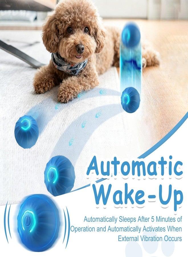 TecoKart® 4.5cm Interactive Dog Toys Ball | USB Rechargeable, Motion Activated Automatic Rolling Ball with Lights | Boredom Relief Exercise Pet Toy for Small Dogs (Blue) - Image 2