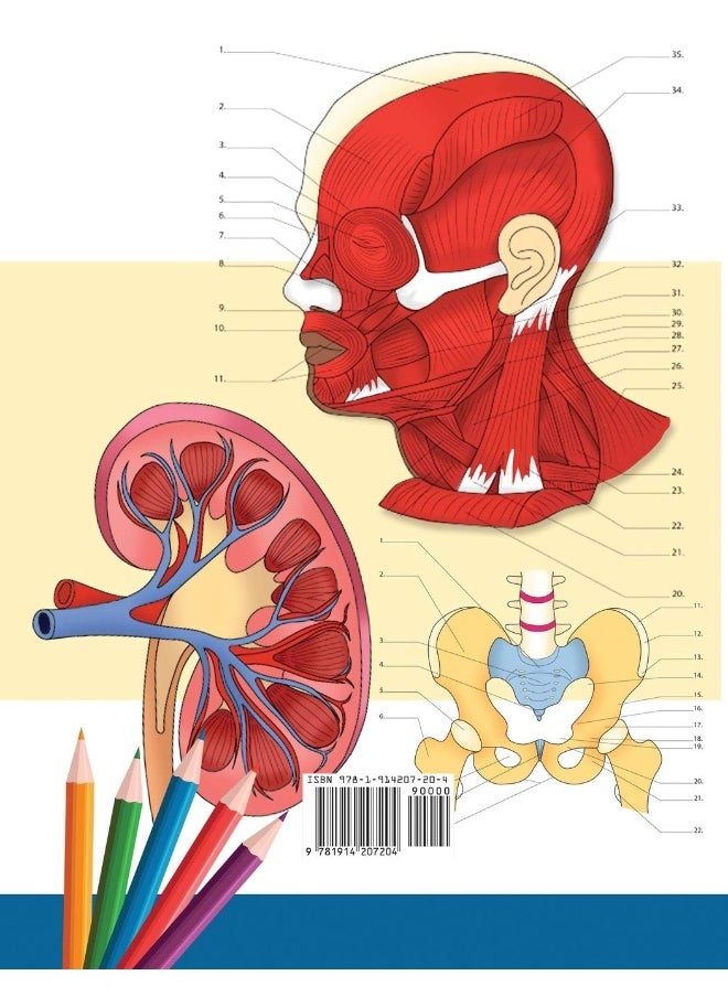 null - Malbuch Anatomie und Physiologie: Unglaublich detailliertes Arbeitsbuch zum Selbsttest Farbe für das Studium | Perfektes Geschenk für Medizinstudenten, Ärzte, Krankenschwestern und Erwachsene - Image 1