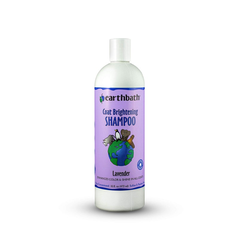earthbath, Lavender Dog Shampoo - Coat Brightening Shampoo for Dogs, Deodorizing Dog Wash, Made in USA, Shampoo for Smelly Dogs, Cruelty Free Pet Shampoos - 16 Oz (1 Pack) - Image 1