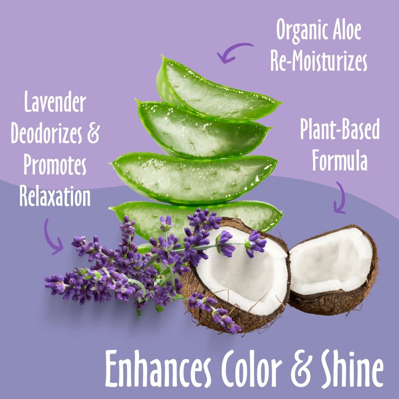 earthbath, Lavender Dog Shampoo - Coat Brightening Shampoo for Dogs, Deodorizing Dog Wash, Made in USA, Shampoo for Smelly Dogs, Cruelty Free Pet Shampoos - 16 Oz (1 Pack) - Image 2