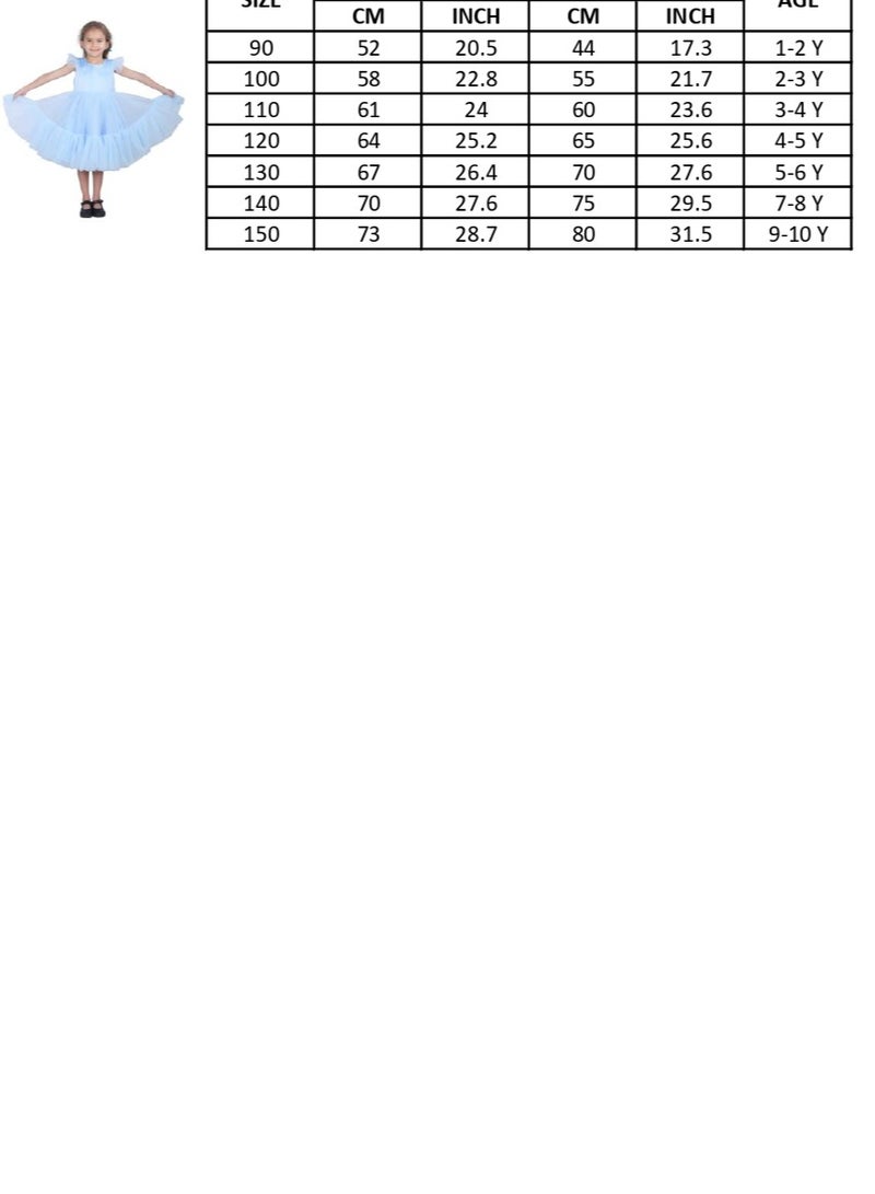 D'Daniela Tulle Party Dress - Image 4