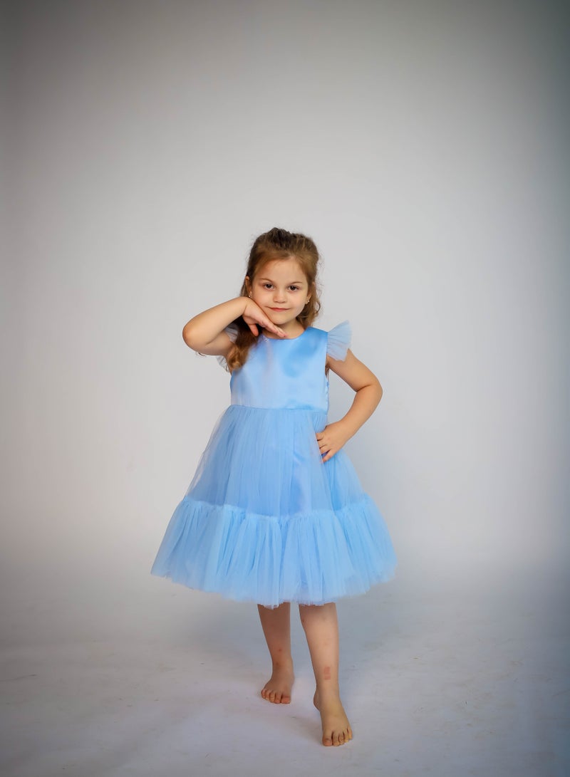 D'Daniela Tulle Party Dress - Image 1