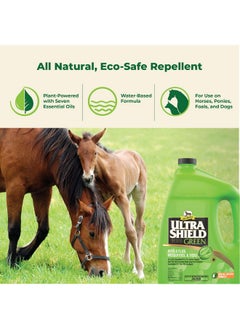 Ultrashield Green AllNatural Fly & Insect Repellent For Horses & Dogs, Essential Oils Repel & Control, 128Oz Bottle, No Sprayer - pzsku/ZBF1EAA65185226FB1E85Z/45/_/1726220008/d5b035d1-96f1-44a0-b911-c468bdcb3395