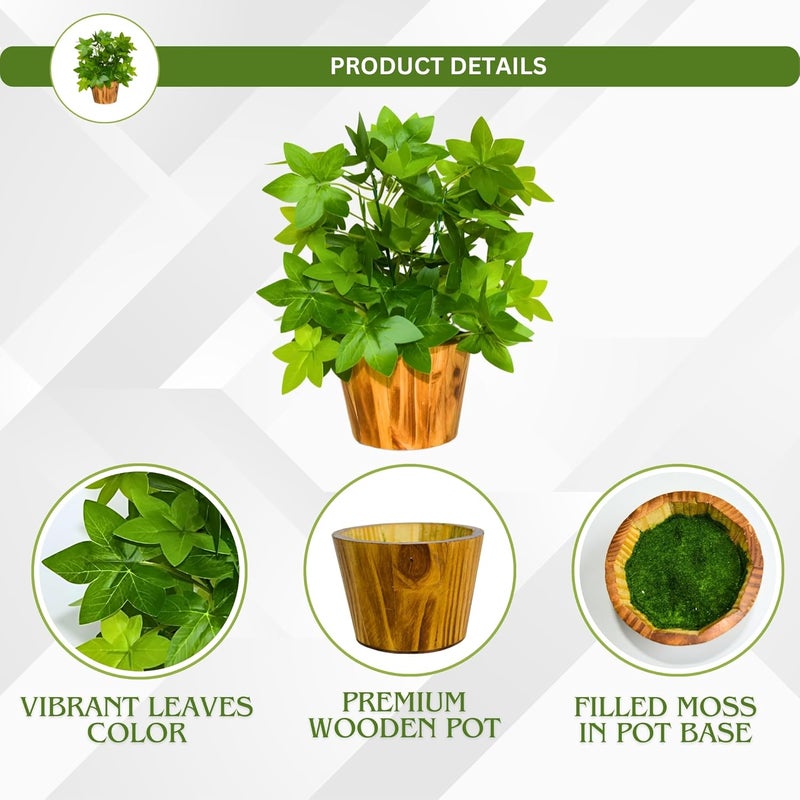 fancymart Artificial Plant Leaves in Wooden Pot Perfect Potted Decoration for Home Living Room & Office Spaces Décor Height - 26cm - Image 3