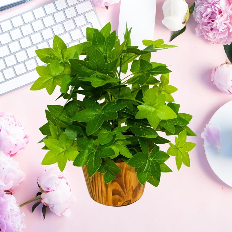 fancymart Artificial Plant Leaves in Wooden Pot Perfect Potted Decoration for Home Living Room & Office Spaces Décor Height - 26cm - Image 5