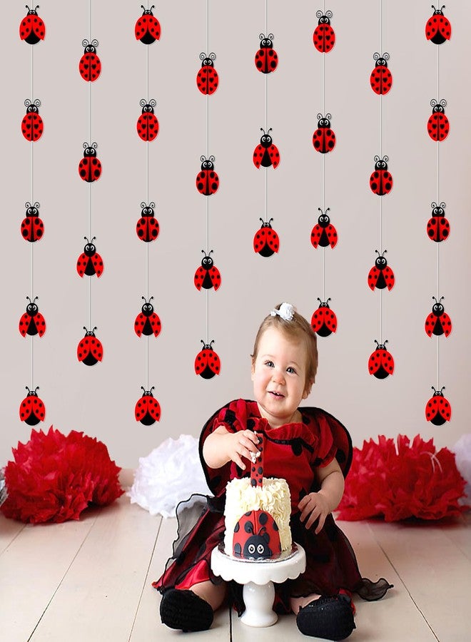 Balterever Ladybug Party Hanging Garlands Double Sided Ladybug Decorations for Spring Garden Theme Birthday Baby Shower Wedding Supplies - Image 4