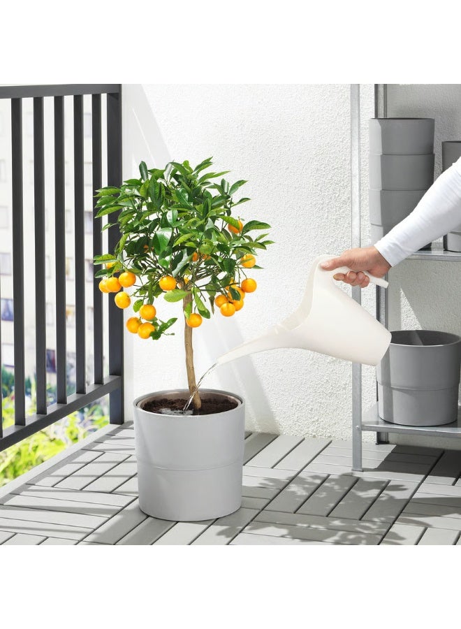 White Watering Can – 1.2 L Plastic Indoor & Outdoor Plant Watering Pot, Durable and Stylish - Image 3