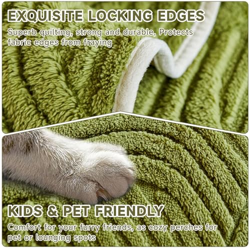 OTOB All Season Couch Cover for Dogs Washable, Non Slip Ultra Soft Plush Pet Couch Covers for 3 Cushion Couch Sofa, Cozy Fuzzy Sofa Slipcovers Furniture Protector, 1 Piece(Matcha Green, 35.4"x70.9") - Image 4