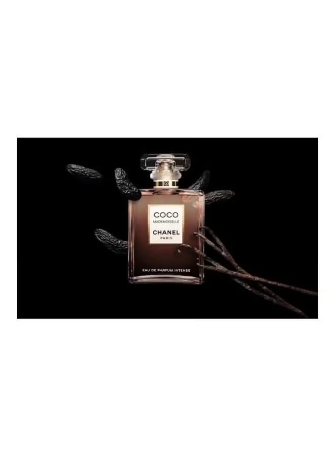 شانيل عطر كوكو مادموزيل إنتنس EDP للنساء 100ملليلتر - Image 4