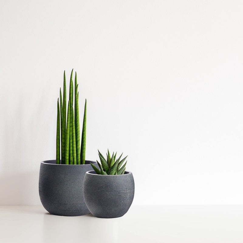 Olly & Rose Barcelona Ceramic Plant Pot Set 2 - Black Flower Pots 7" and 5.5" - Indoor & Outdoor Planters (Black) - Image 2