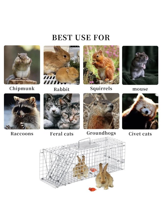 قفص كبير وآمن للإمساك بالحيوانات الحية، قابل للطي ببابين، للإمساك والإطلاق، مناسب للقطط الضالة والكلاب الصغيرة والوشق والقنادس والجرذان الأرضية والحيوانات ذات الحجم المماثل، 65×26×24 سم - Image 4