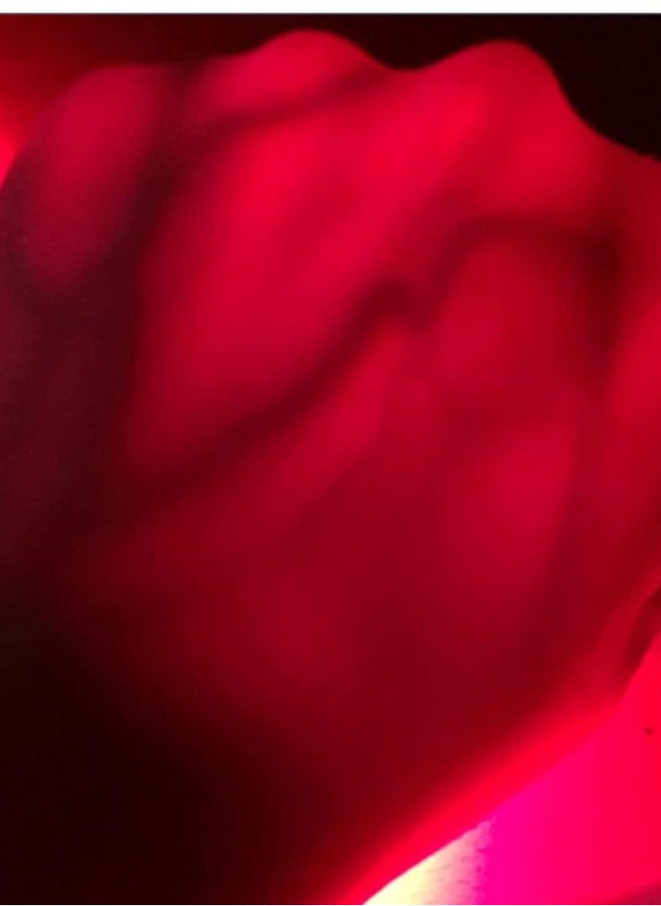 Vein Finder – Infrared Technology for Accurate Vein Detection, Non-Invasive, Portable, Easy to Use, Ideal for Medical Professionals, Nurses, and Patients with Difficult Veins.