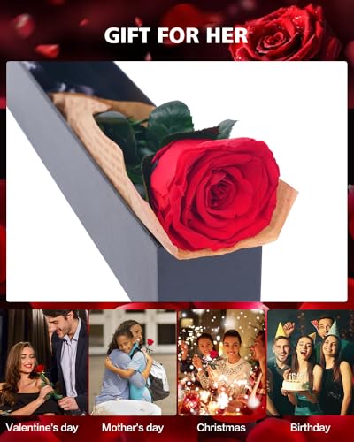 YAMPP Flowers for Delivery Prime Gifts for Women: Preserved Rose Gifts for Mom Wife Grandma Birthday Single Rose Red - Image 2