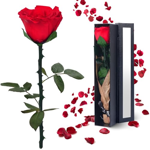YAMPP Flowers for Delivery Prime Gifts for Women: Preserved Rose Gifts for Mom Wife Grandma Birthday Single Rose Red - Image 1