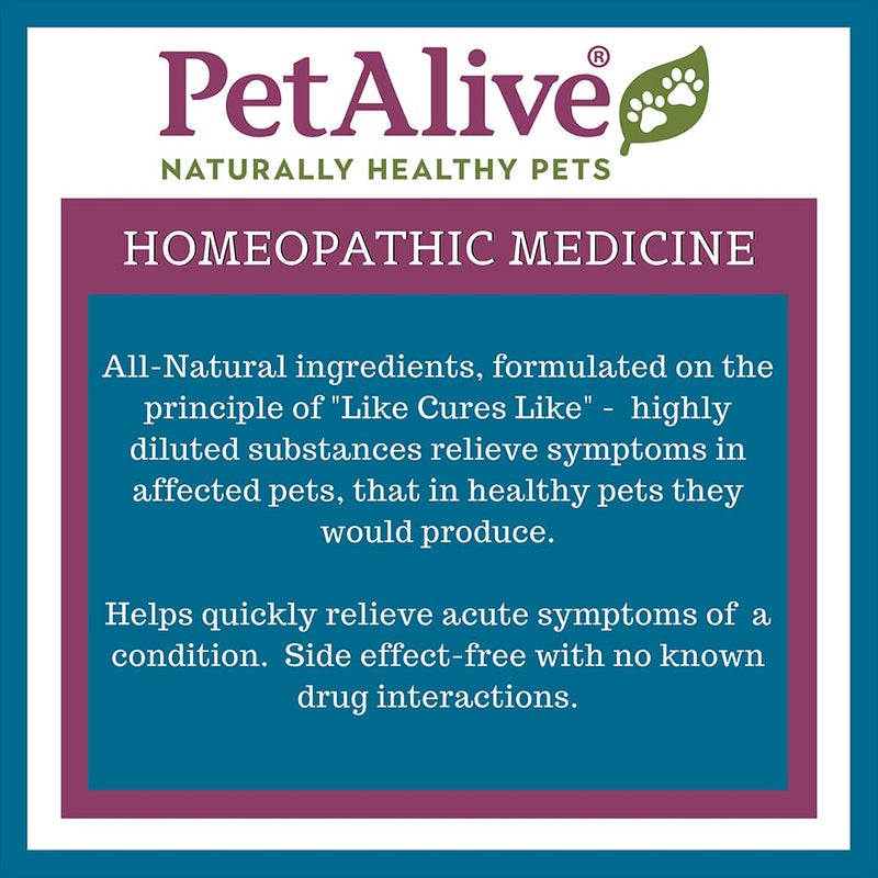 PetAlive EaseSure-M Calming Drops for Dogs and Cats â€“ Natural Homeopathic Care for Nervous System Health â€“ Supports Everyday Comfort, Reduced Muscle Twitching, and Quiet Relaxation â€“ 59 mL Liquid - Image 5