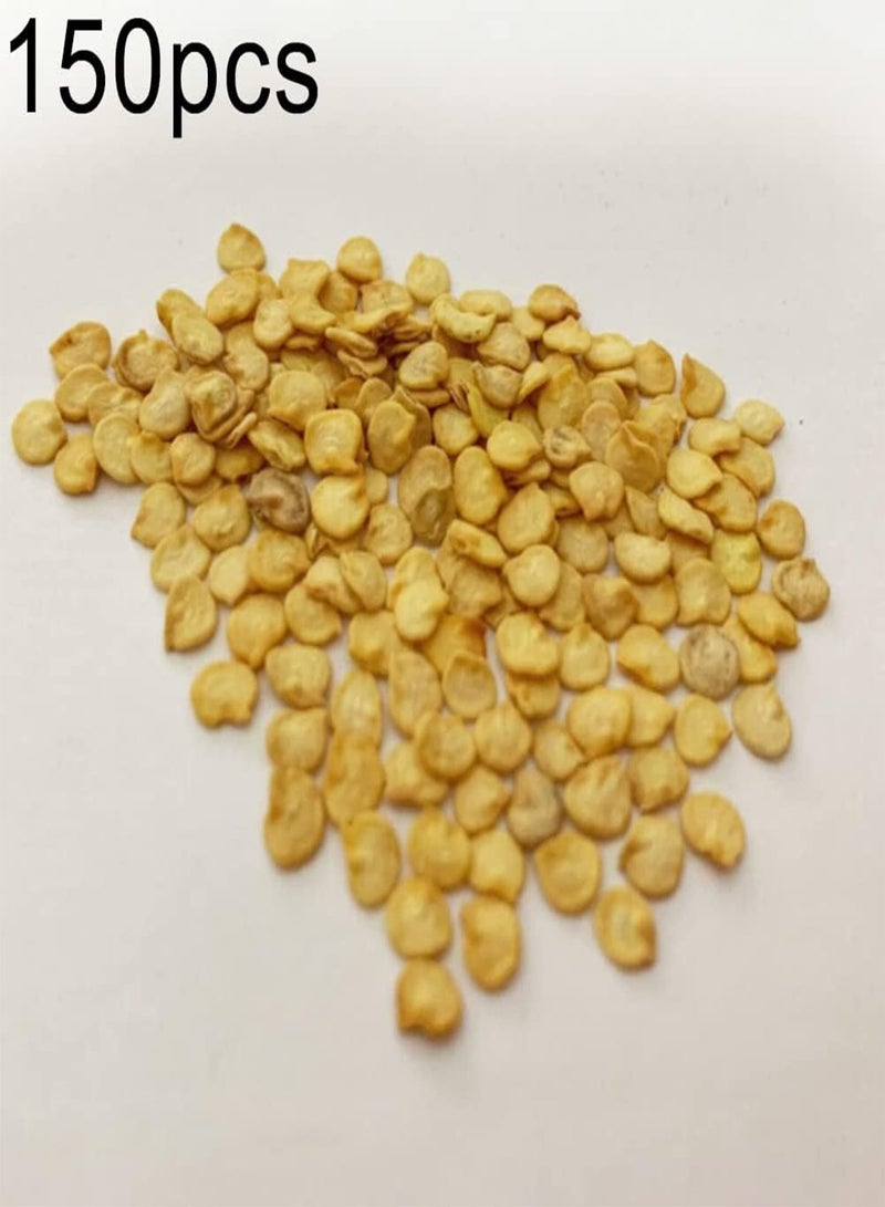 جي جوت 150 قطعة من بذور الفلفل الحلو، مجموعة زراعة DIY، حديقة، شرفة، بونساي، زراعة شتلات الخضروات، بذور مقاس واحد - Image 2