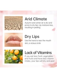 CATKIN Ultra Hydrating Natural Plant Extract Lip Balm For Dry Lips Moisturizing Chapstick Lip Treatment Repair Nourish Lip Skin Care Pink (C02 Colorchanging)  - Image 4