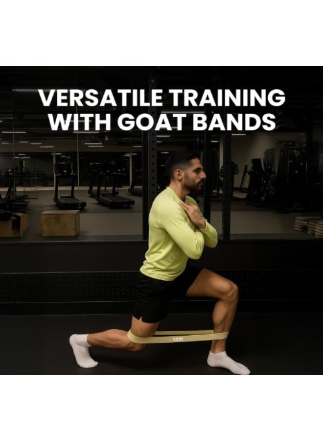 جوت  طقم أحزمة مقاومة صغيرة فاخرة من G.O.A.T - 5 مستويات مقاومة للأرداف والساقين - حلقات قماشية غير قابلة للانزلاق للتمارين المنزلية والبيلاتس والعلاج الطبيعي (متعددة الألوان) - Image 2