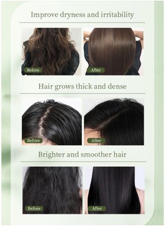 QANZIRE Rosemary Hair Oil Hair Care Essence Promotes Hair Growth, Strengthens Hair, Nourishes The Scalp, Is Light And Non-Greasy, Improves Scalp Circulation, Suitable for Both Men and Women  - Image 4