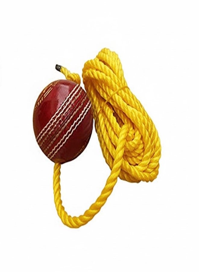New Trend Leather Hanging Cricket Ball for Shot Practice Indoor Outdoor Training Accessory- Multicolour (Pack of 1) - Image 1