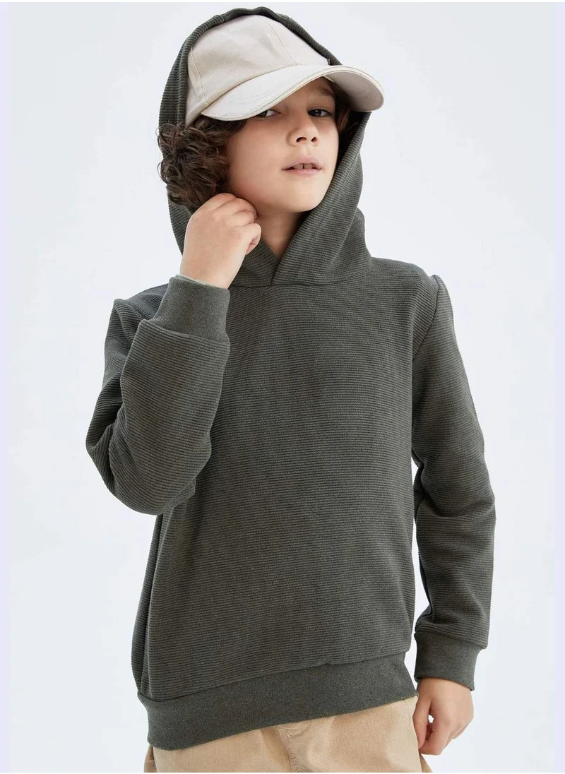 DeFacto Boy Hooded Long Sleeve Knitted Sweatshirt