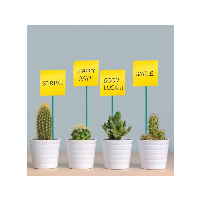 Barakah Garden Stakes Green Bamboo Sticks Decorative, Wooden Plant Support Sticks, Green Wood Plant Stakes, Floral Plant Support Stakes, Wooden Sign Posting Garden Sticks and DIY Activities - Image 2