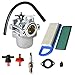 YSMN 796077 Carburetor Replacement for Briggs & Stratton 590399 215802 215807 217802 217807 217902 217907 21A707 21A807 - Image 2