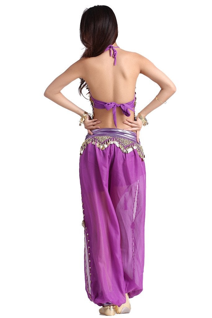 ZLTdream Lady's Belly Dance Chiffon Banadge Top and Lantern Coins Pants Purple, One Size - Image 4